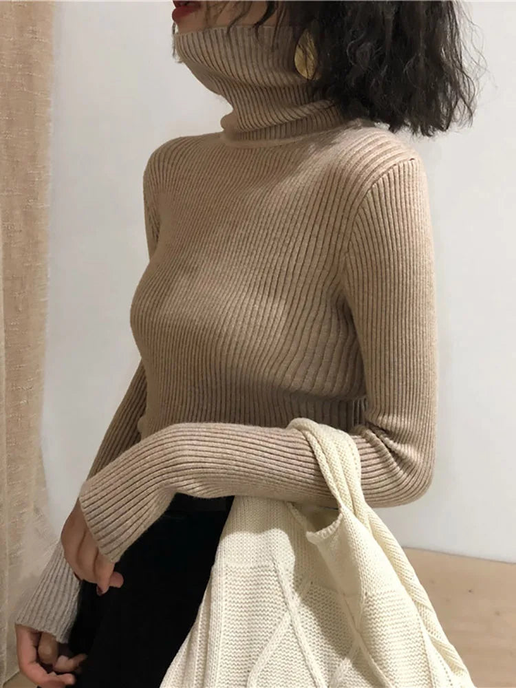 Modaura | Ribbed Turtleneck Sweater