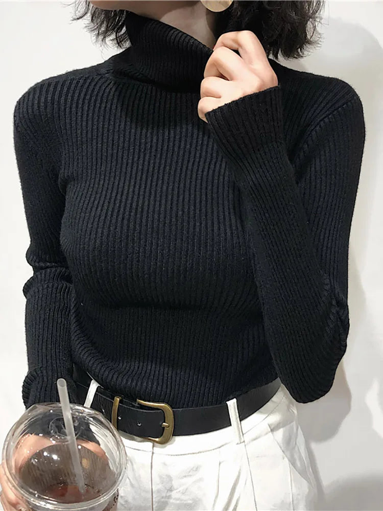 Modaura | Ribbed Turtleneck Sweater