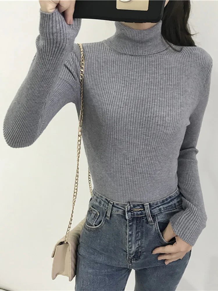 Modaura | Ribbed Turtleneck Sweater